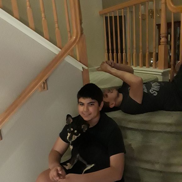 Meet your Posher, Sabrina - Picture 1 of 1